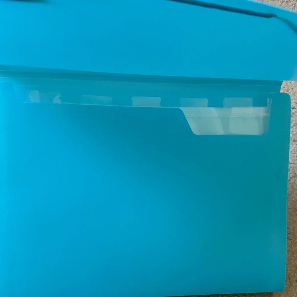 Expandable Pink and Blue Sleeves for Filing